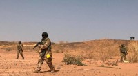 79 civilians killed in Niger militant attack