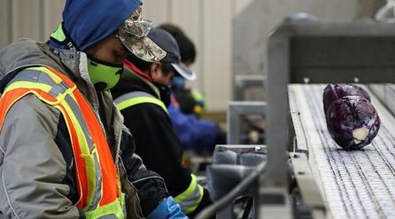 Canada opens immigration door wider