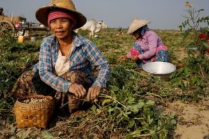 Half of Myanmar’s population risks falling into poverty by 2022: UNDP