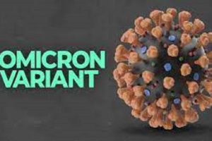 India reports first two Covid cases of Omicron variant