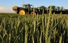 Global hunger fight means no biofuel