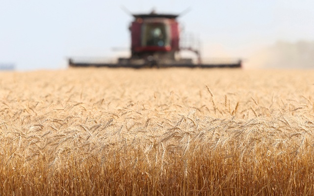 Russian-held Ukraine scheming to sell grain to North America