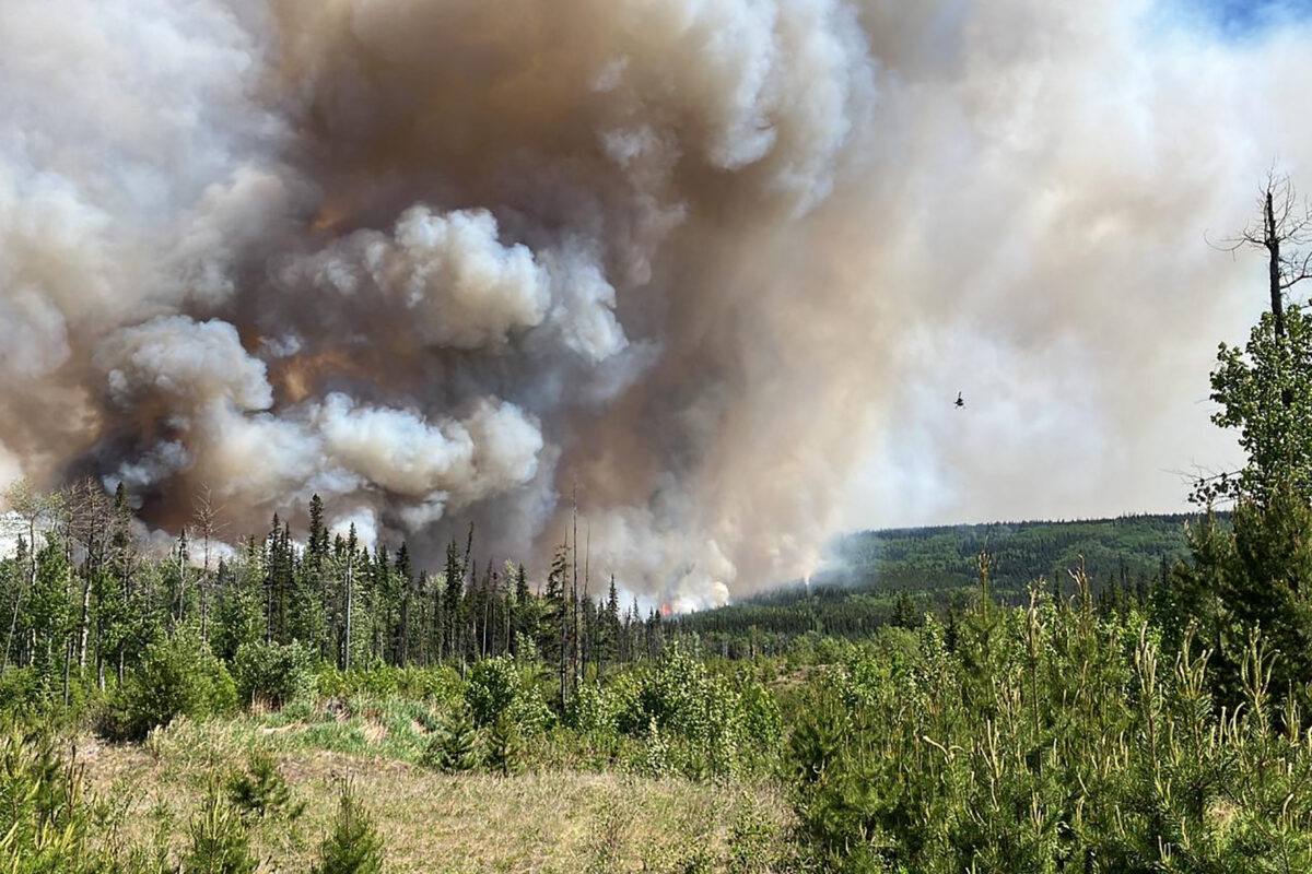 Smoke from Canadian wildfires cloaks eastern US with haze