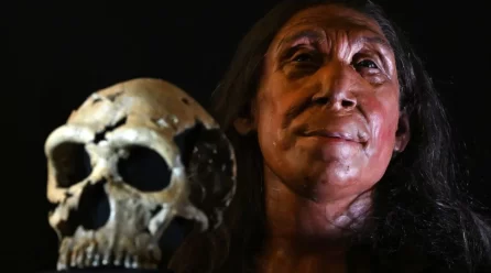 UK researchers unveil face of 75,000-year-old Neanderthal woman