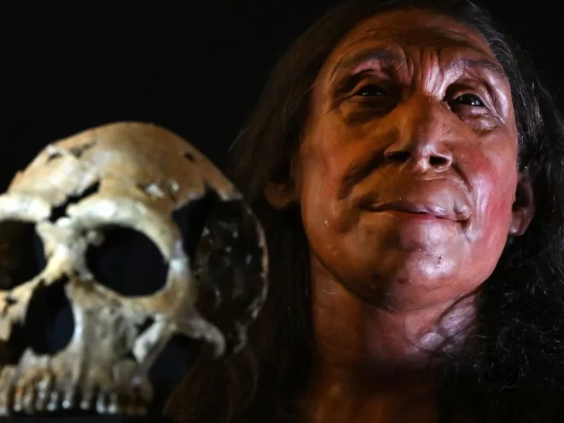 UK researchers unveil face of 75,000-year-old Neanderthal woman