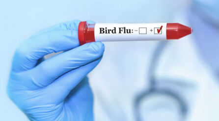 Canada’s first case of H5 bird flu