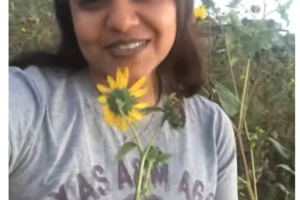 The sun flower and the star seed