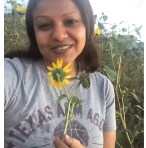 The sun flower and the star seed
