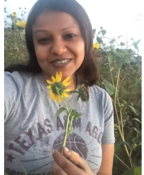 The sun flower and the star seed