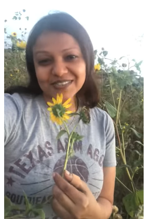 The sun flower and the star seed