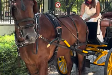 City tour by horse carriage, Spain