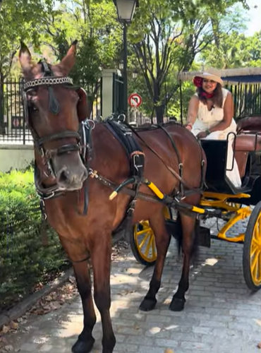 City tour by horse carriage, Spain