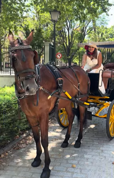 City tour by horse carriage, Spain